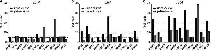 FIG 2