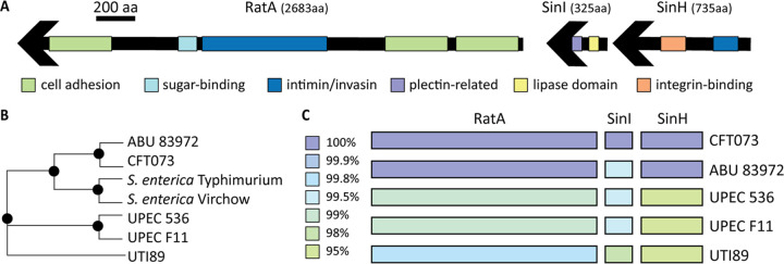 FIG 1