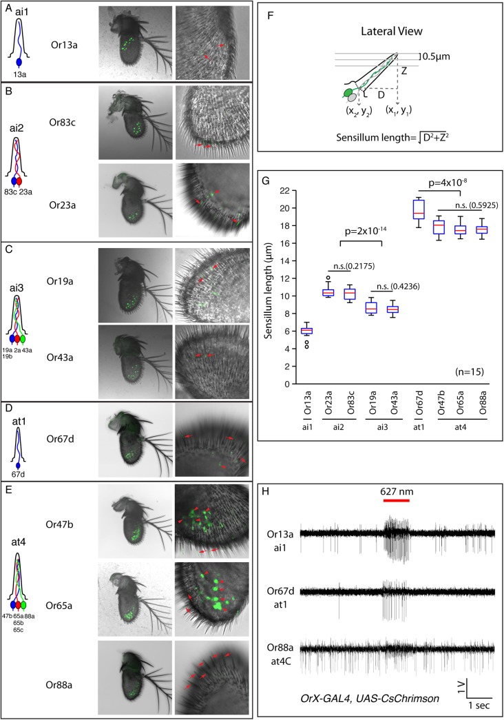 Fig 4