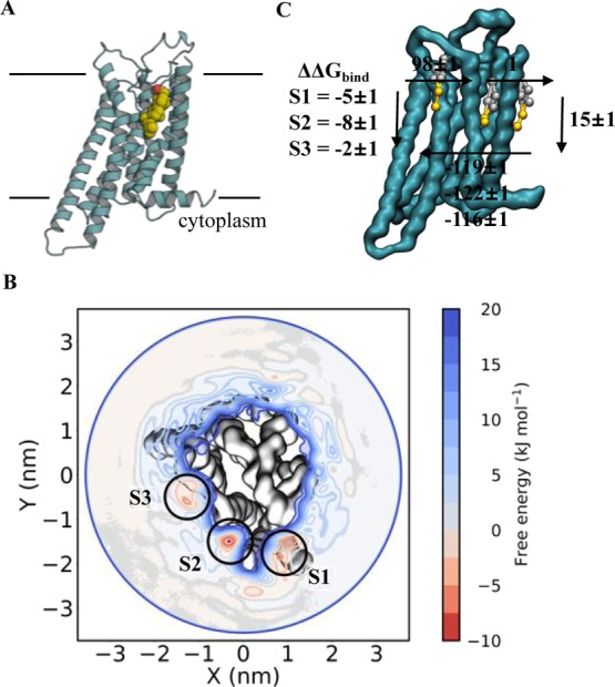 Figure 6