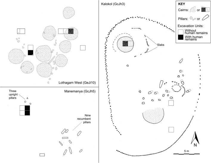 Fig. 4