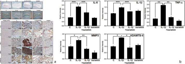 Fig. 8