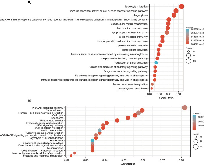 Figure 10