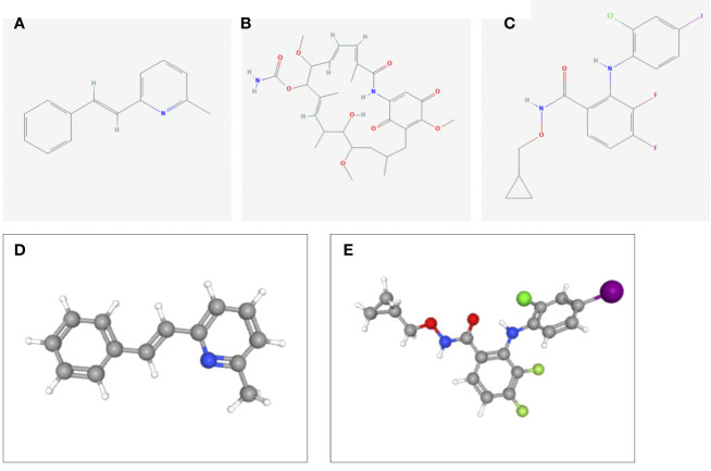 Figure 11