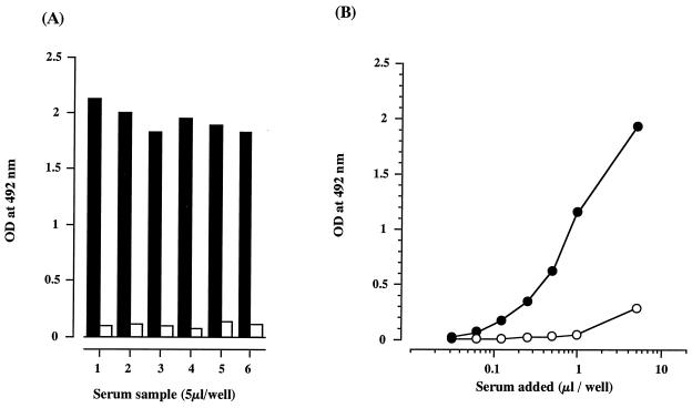 FIG. 5