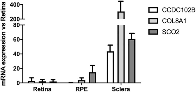 Fig 4