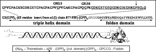 DIAGRAM 1.