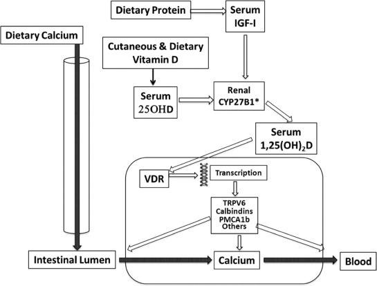 Fig. 3.