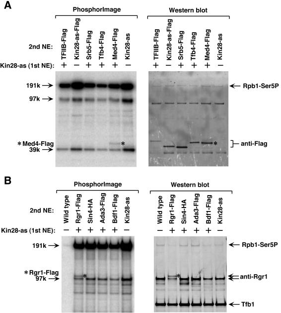 FIG. 8.