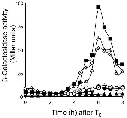 FIG. 5.