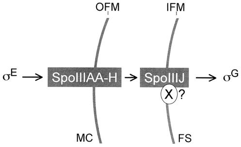 FIG. 7.