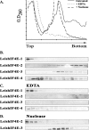 FIG. 8.