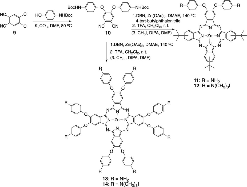 Scheme 2