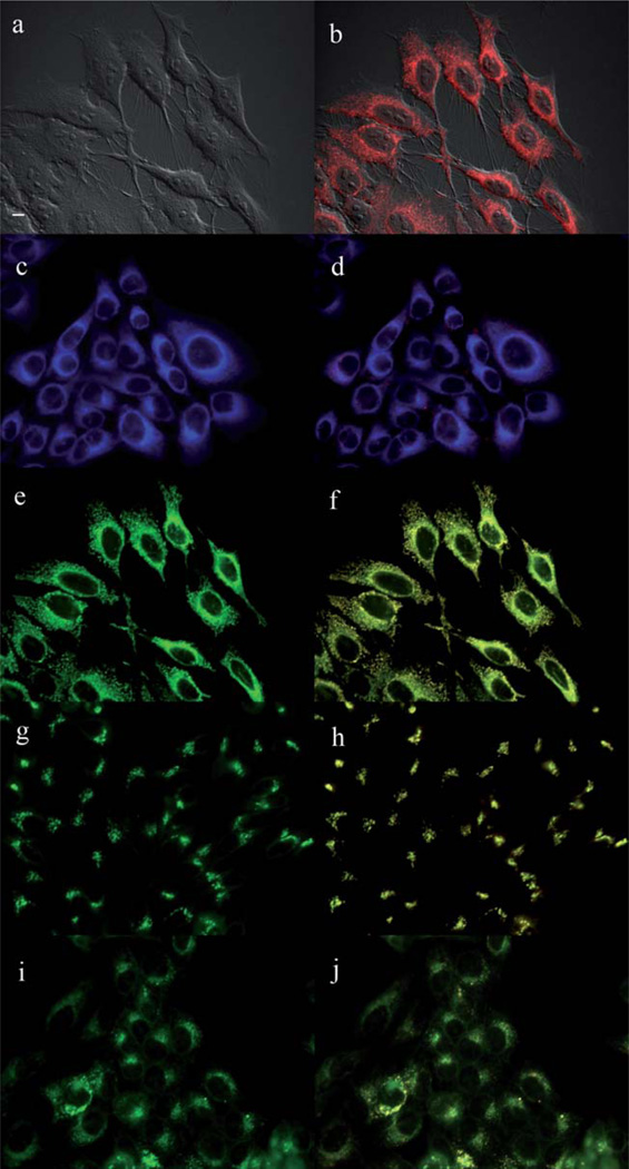 Fig. 12