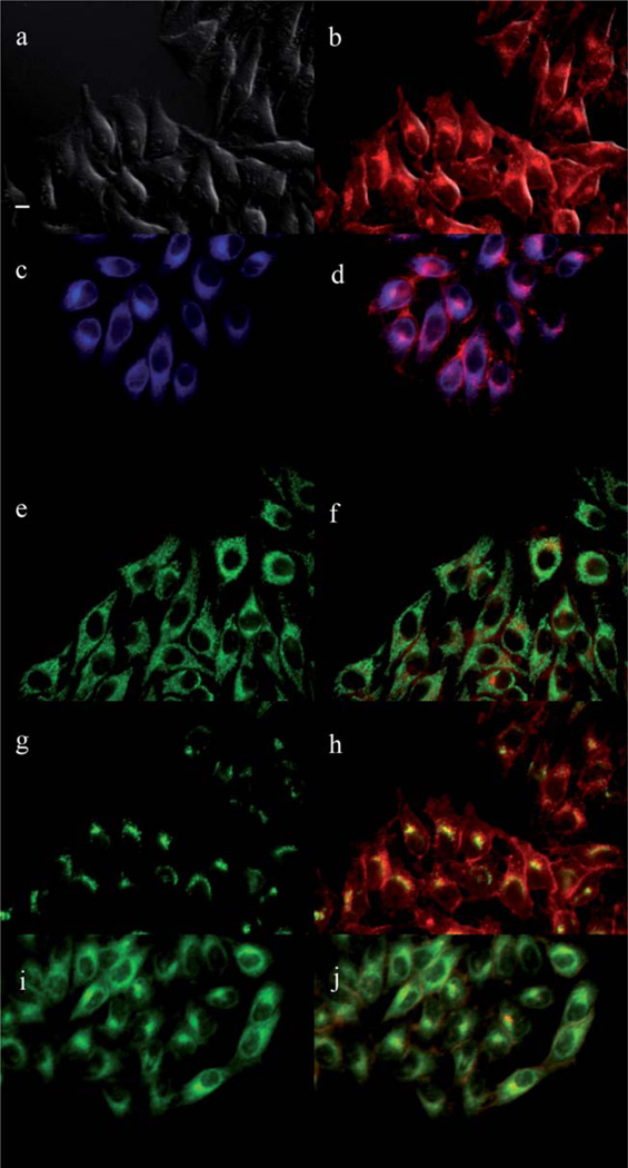 Fig. 11