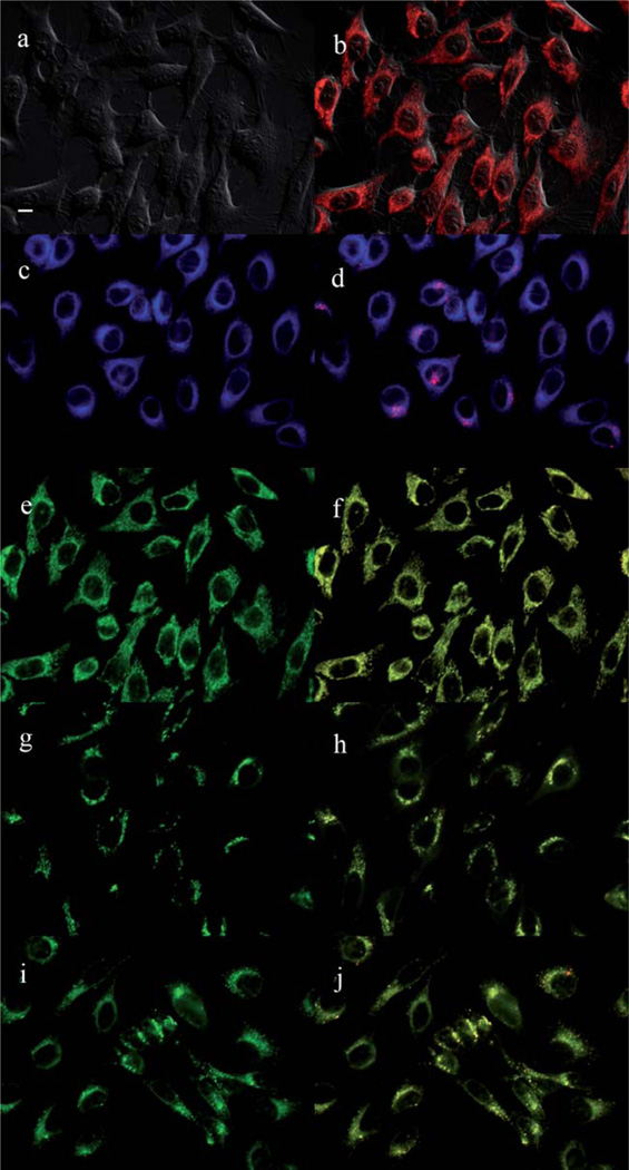 Fig. 9