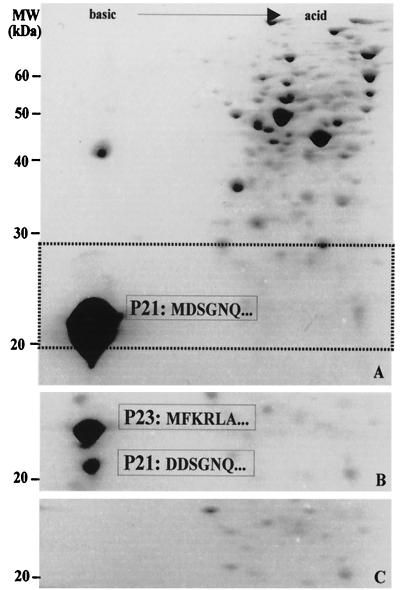 FIG. 6.