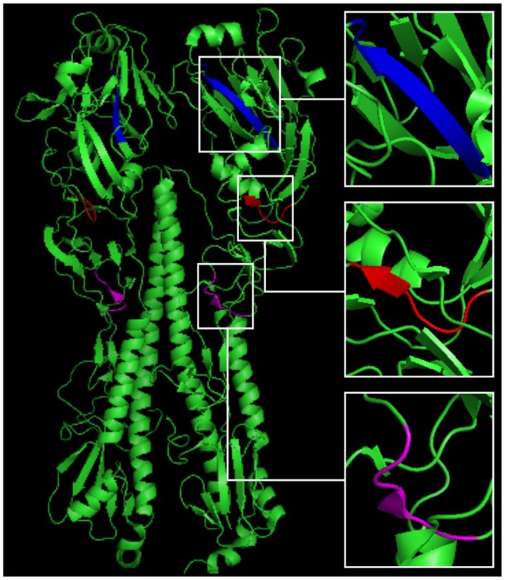 Figure 4.