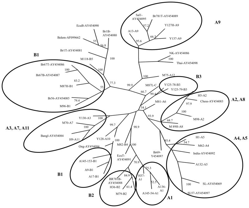 Fig. 4