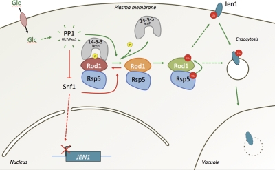 Figure 5.