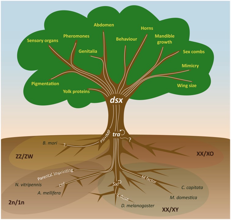 Figure 2: