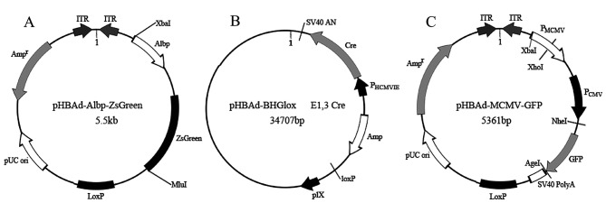 Figure 2.