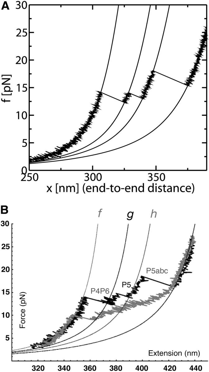 FIGURE 15