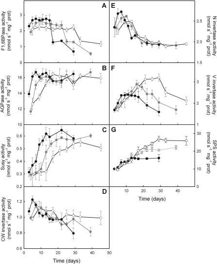 Fig. 8.