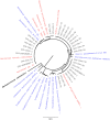 FIG 1