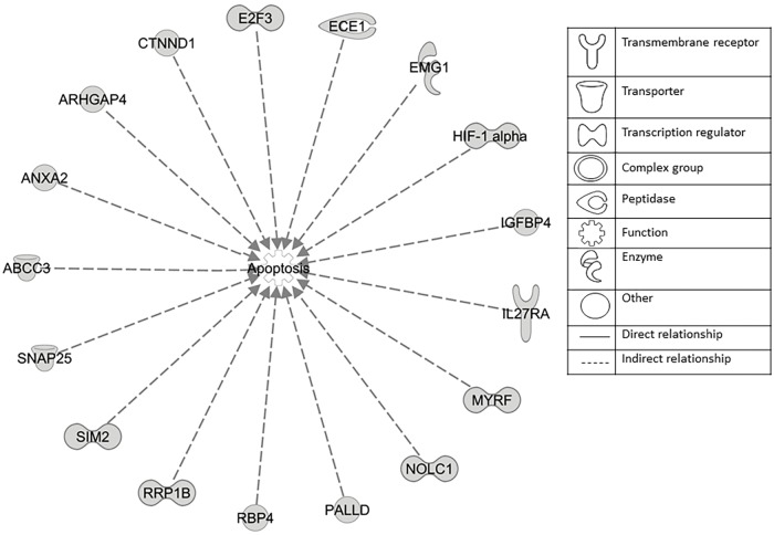 FIGURE 11