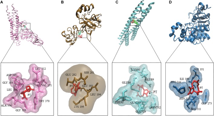 FIGURE 4