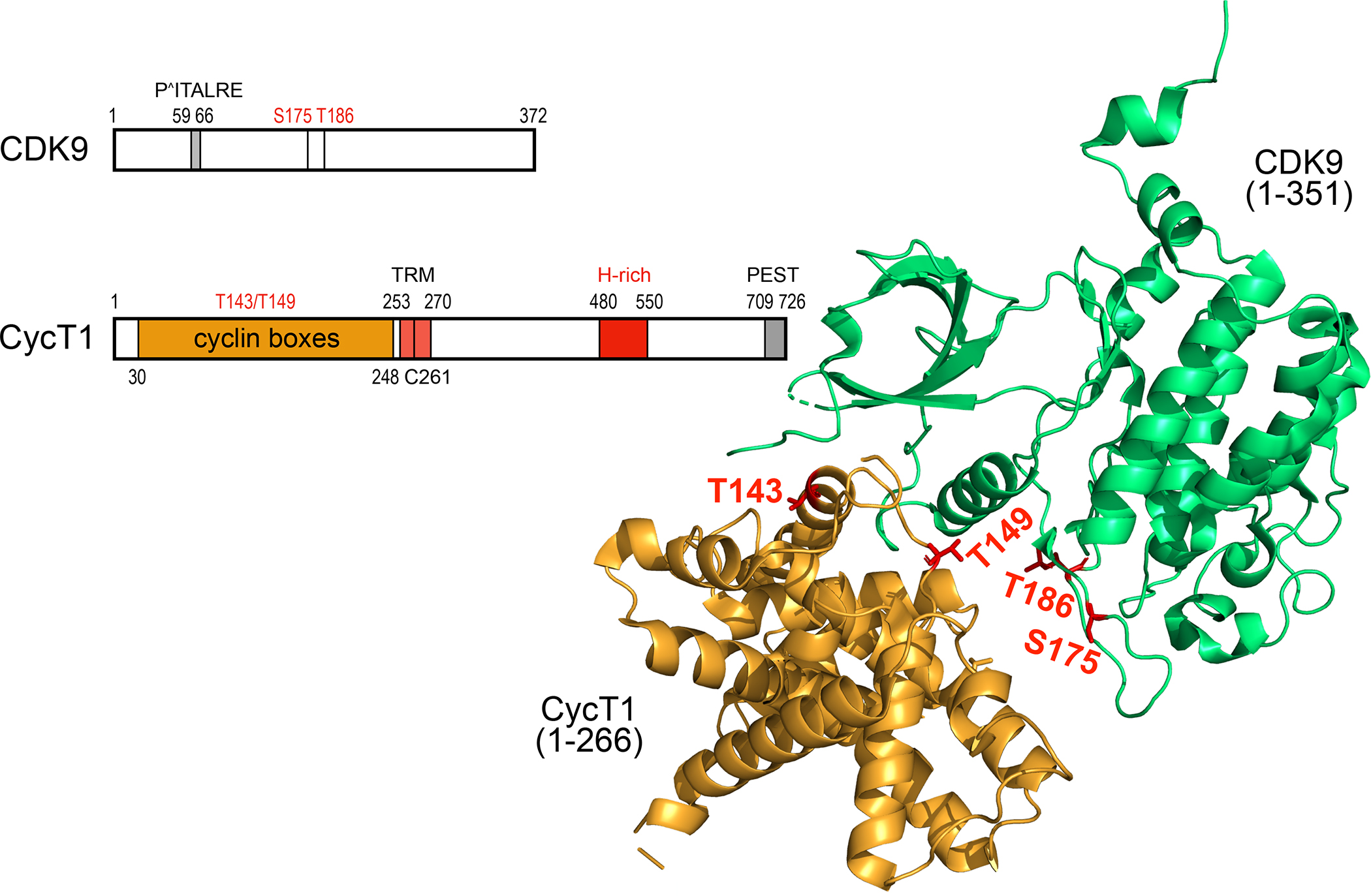 Figure. 2.