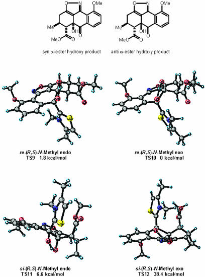 Fig. 10.