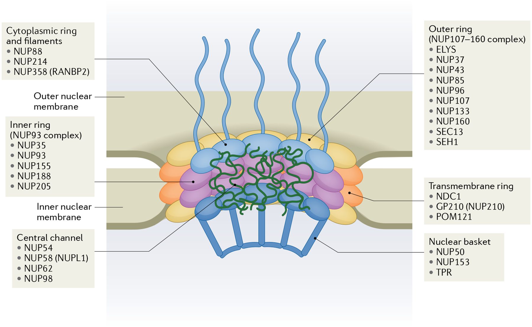 Fig. 1 |