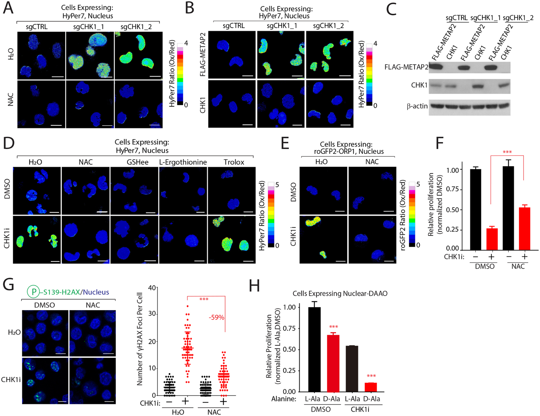 Figure 4: