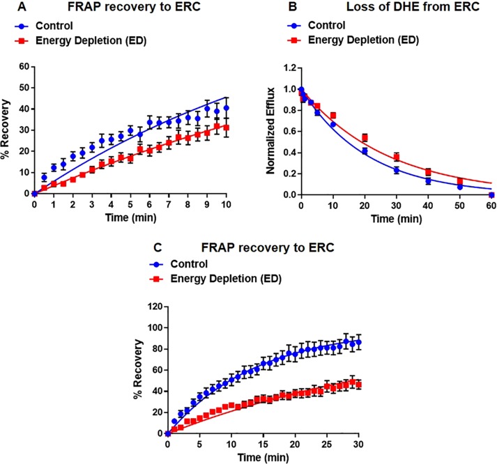 FIGURE 3: