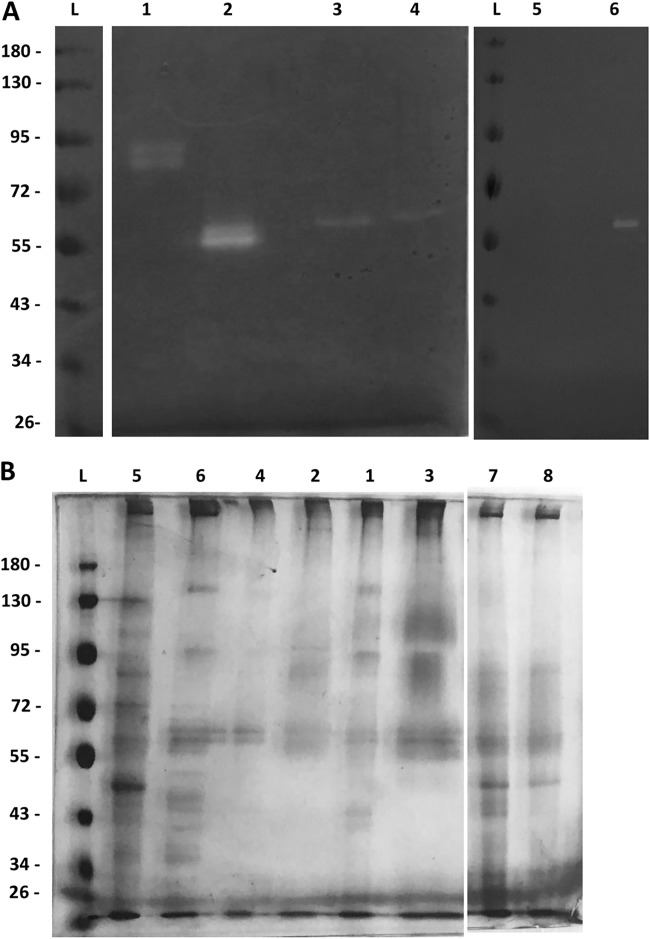 FIG 2