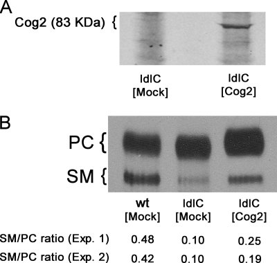 FIGURE 6.