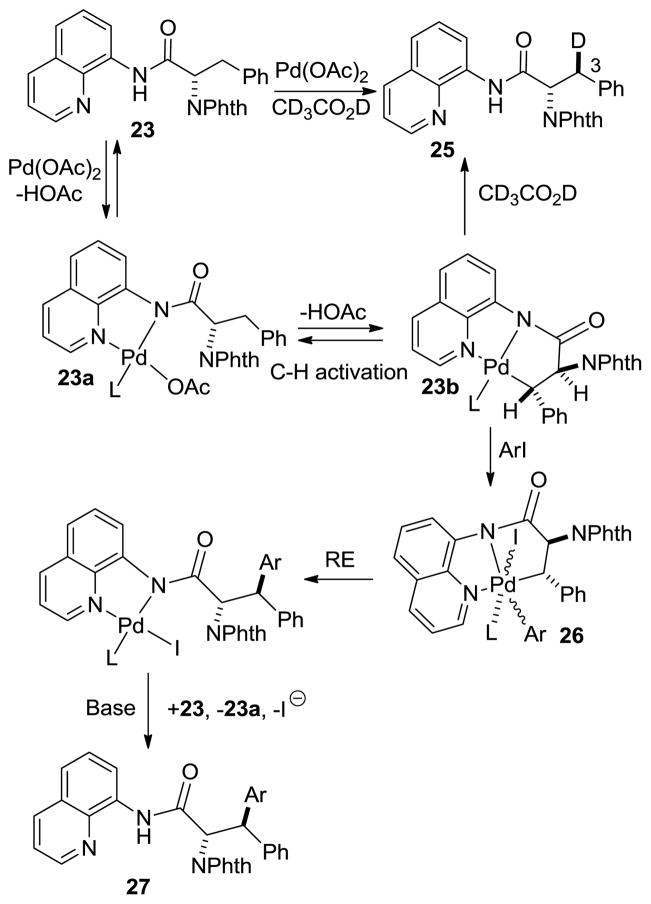 Scheme 5