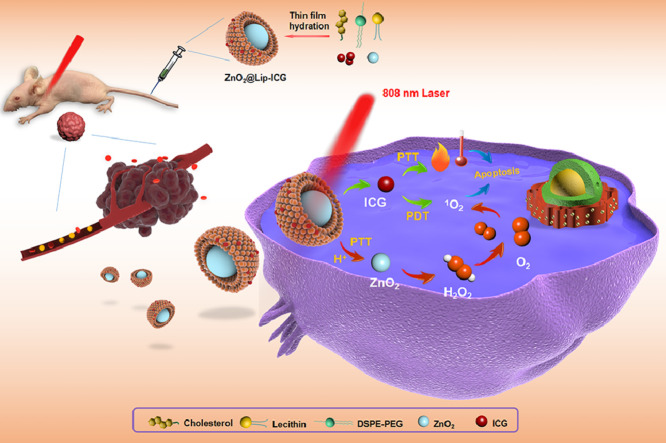 Image, graphical abstract