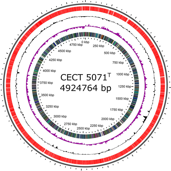 FIG 1