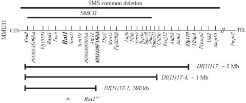 Figure  1. 