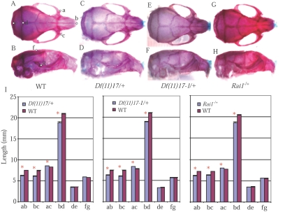 Figure  3. 