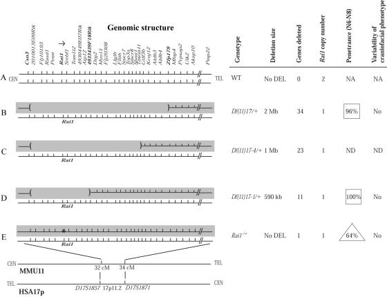 Figure  4. 