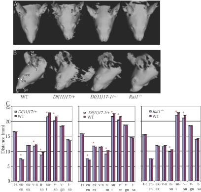 Figure  2. 