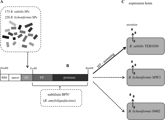 FIG. 1.