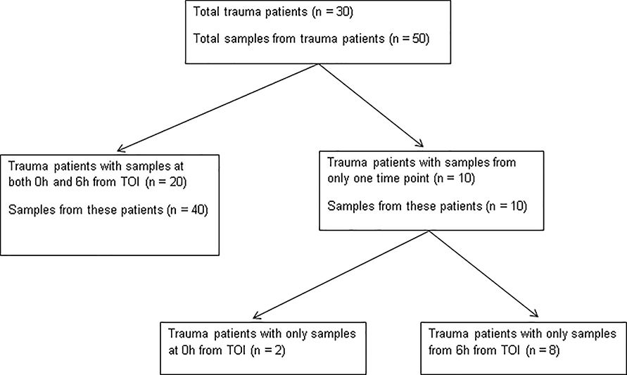 Figure 1: