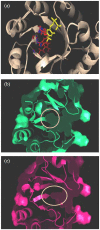 Figure 6