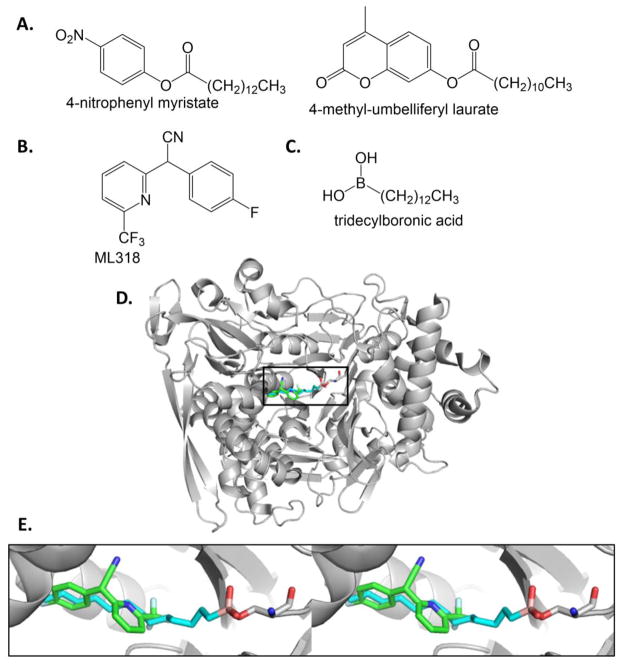 Figure 12