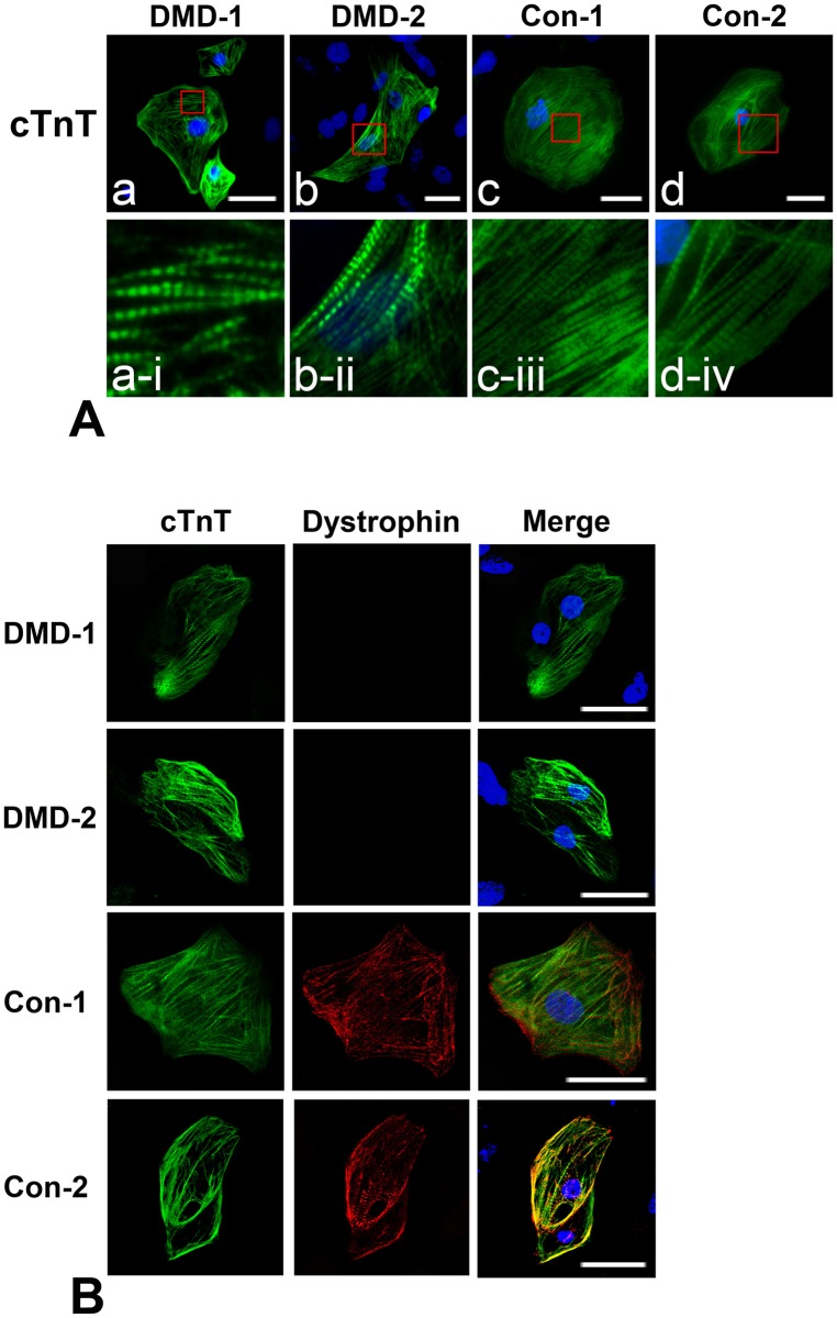 Fig 4